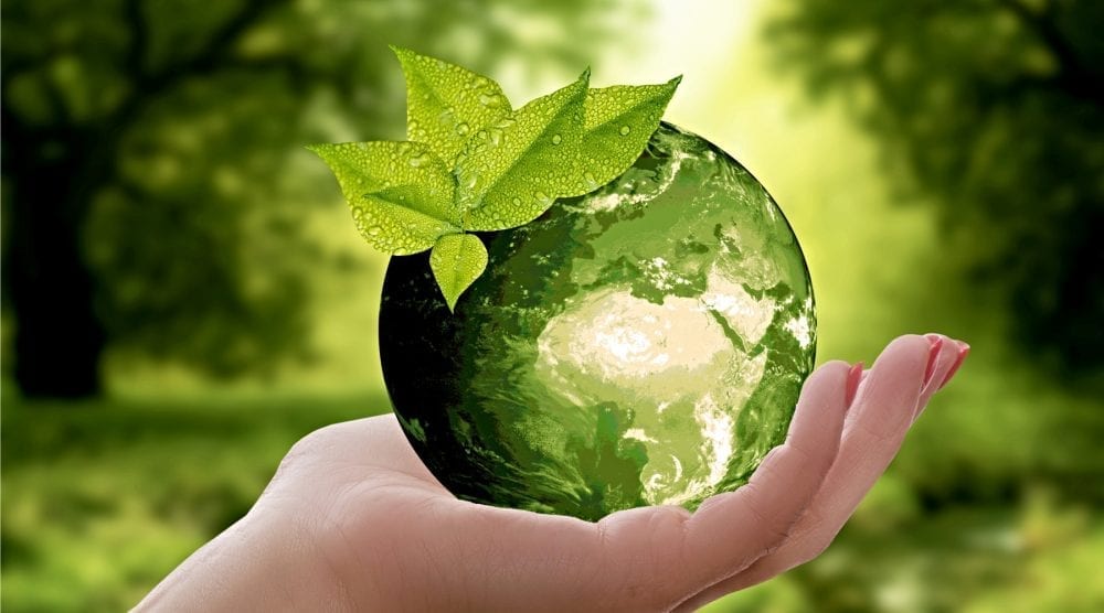 Sustainability